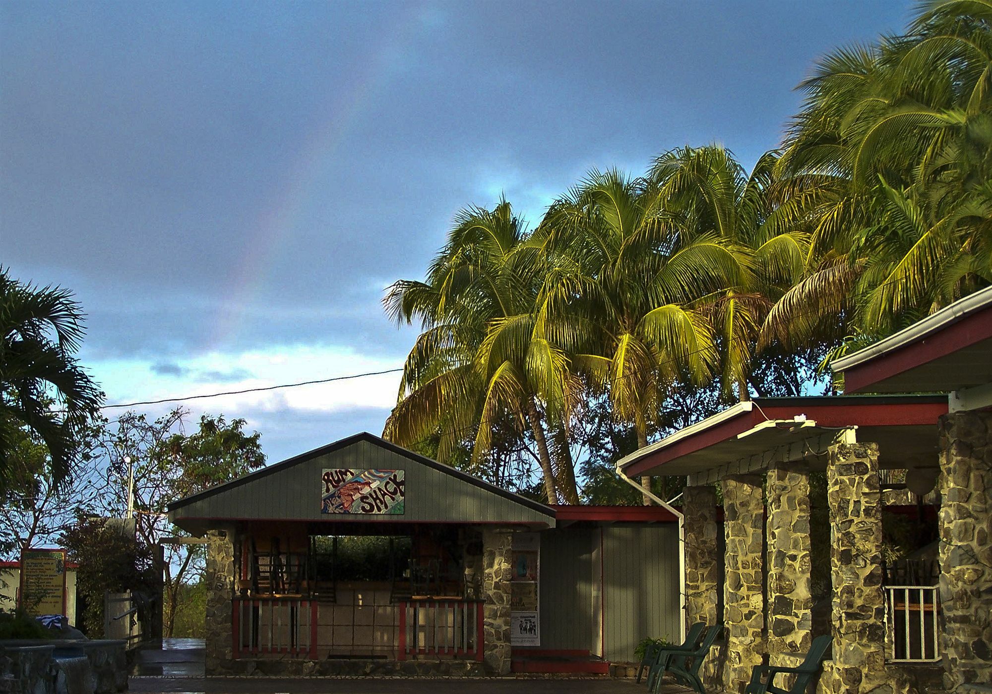 Lazy Parrot Inn&Mini Resort Rincon Exterior foto