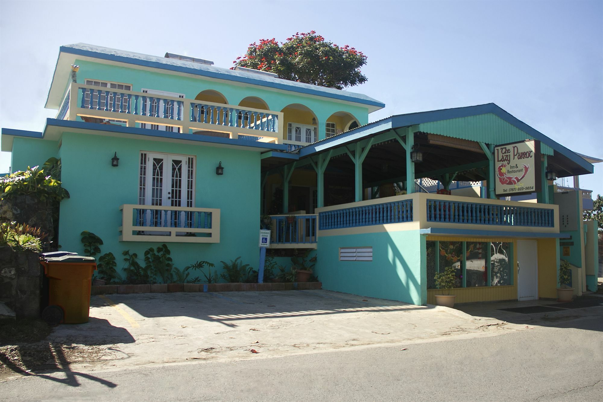 Lazy Parrot Inn&Mini Resort Rincon Exterior foto