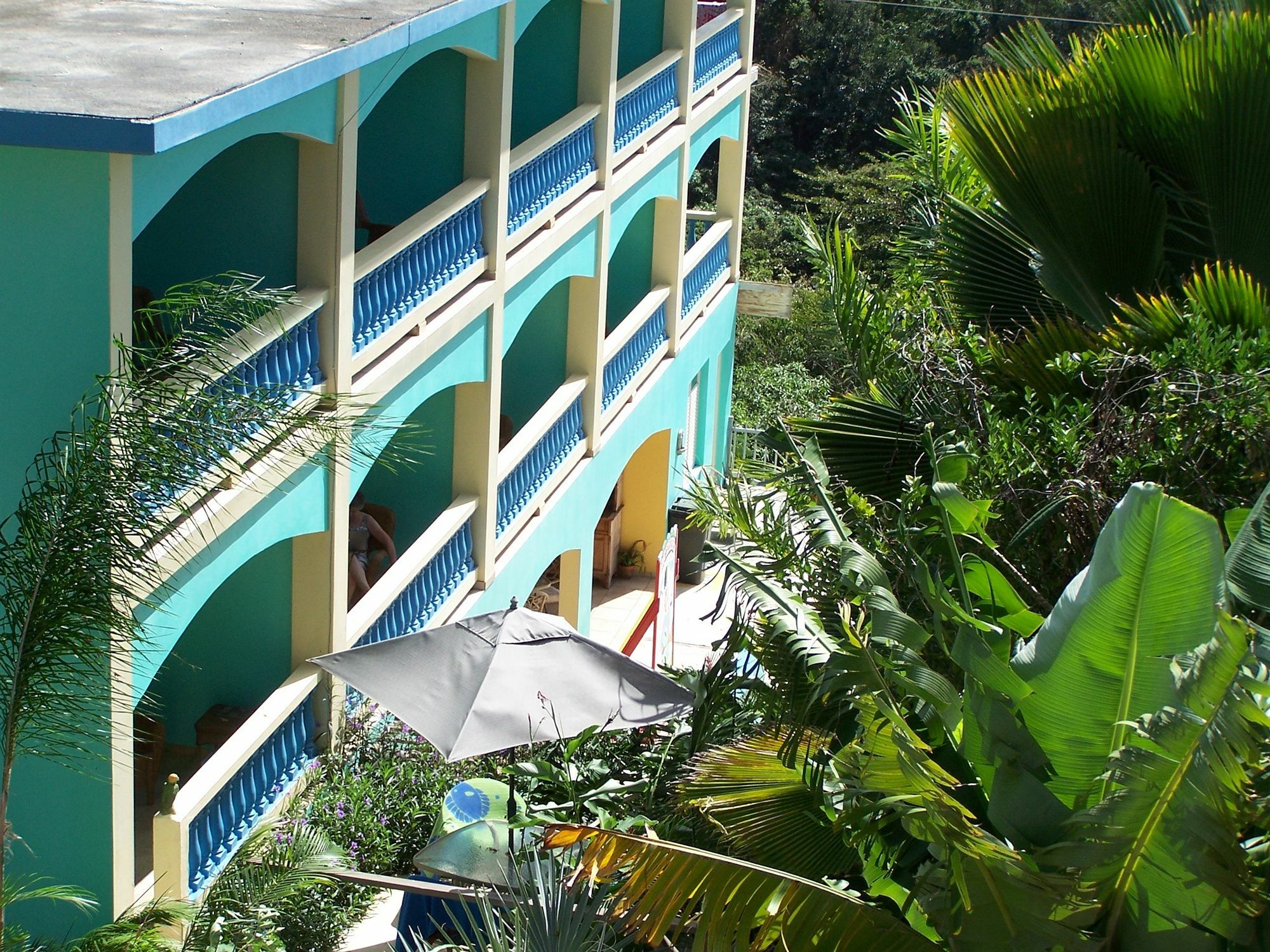 Lazy Parrot Inn&Mini Resort Rincon Exterior foto